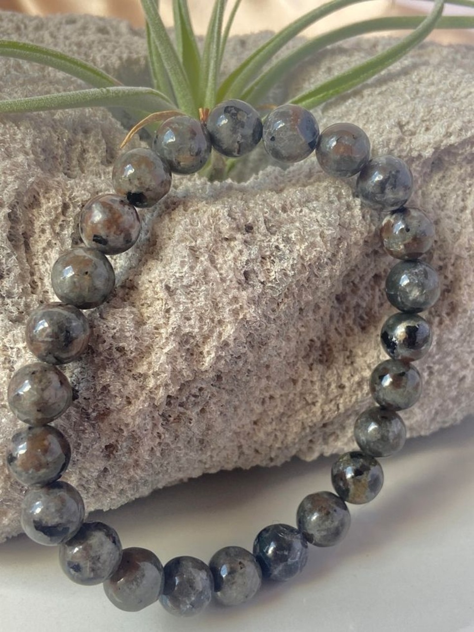 WhatsApp Image 2025-06-10 at 18.26.48_08f4bb06