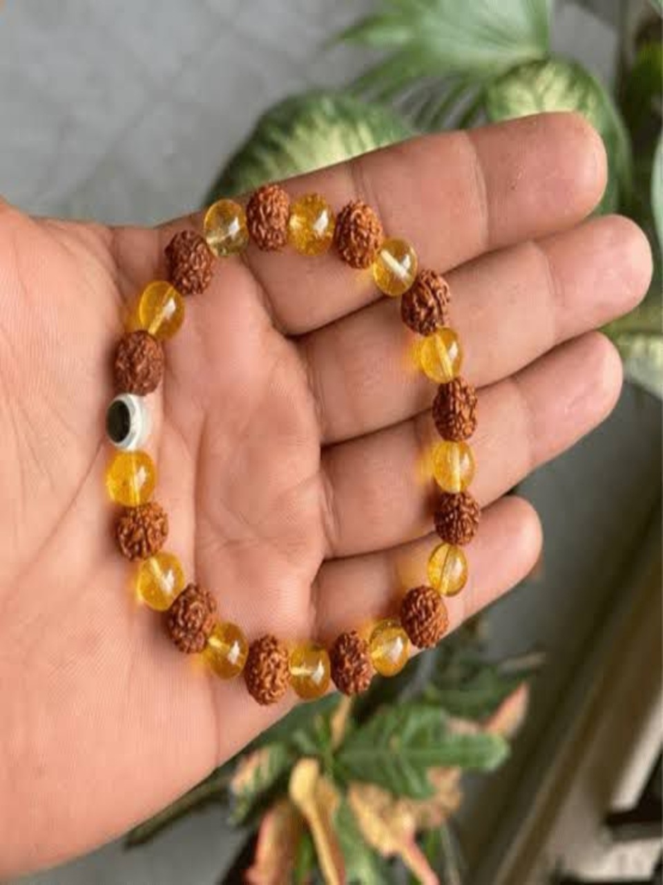 WhatsApp Image 2025-06-10 at 19.10.10_00881607