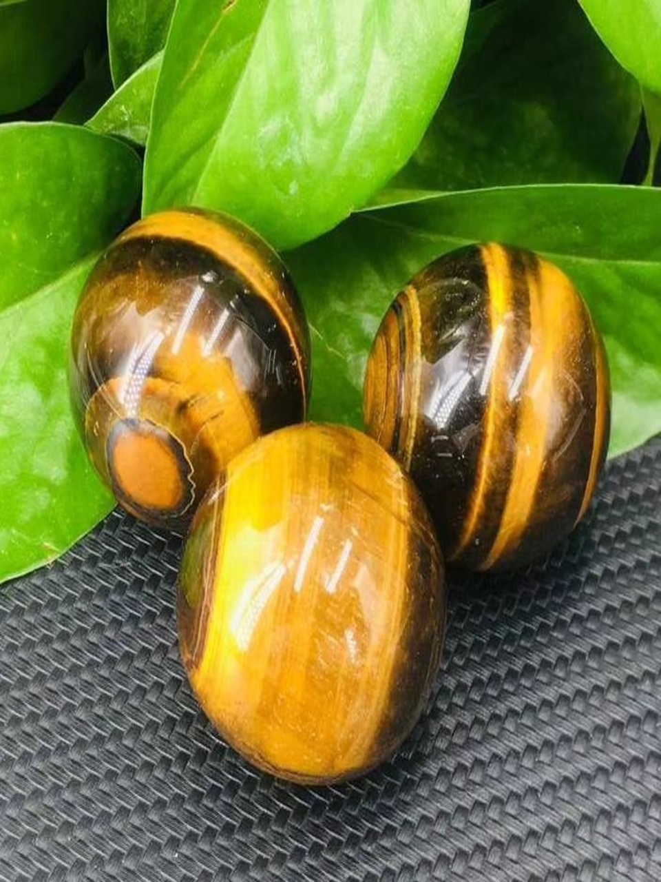 WhatsApp Image 2025-06-12 at 18.11.54_d92ce726