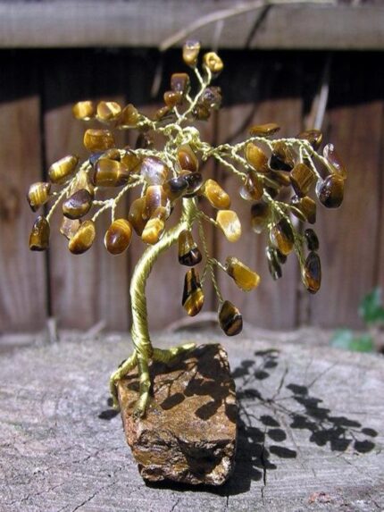 Tiger's Eye Tree